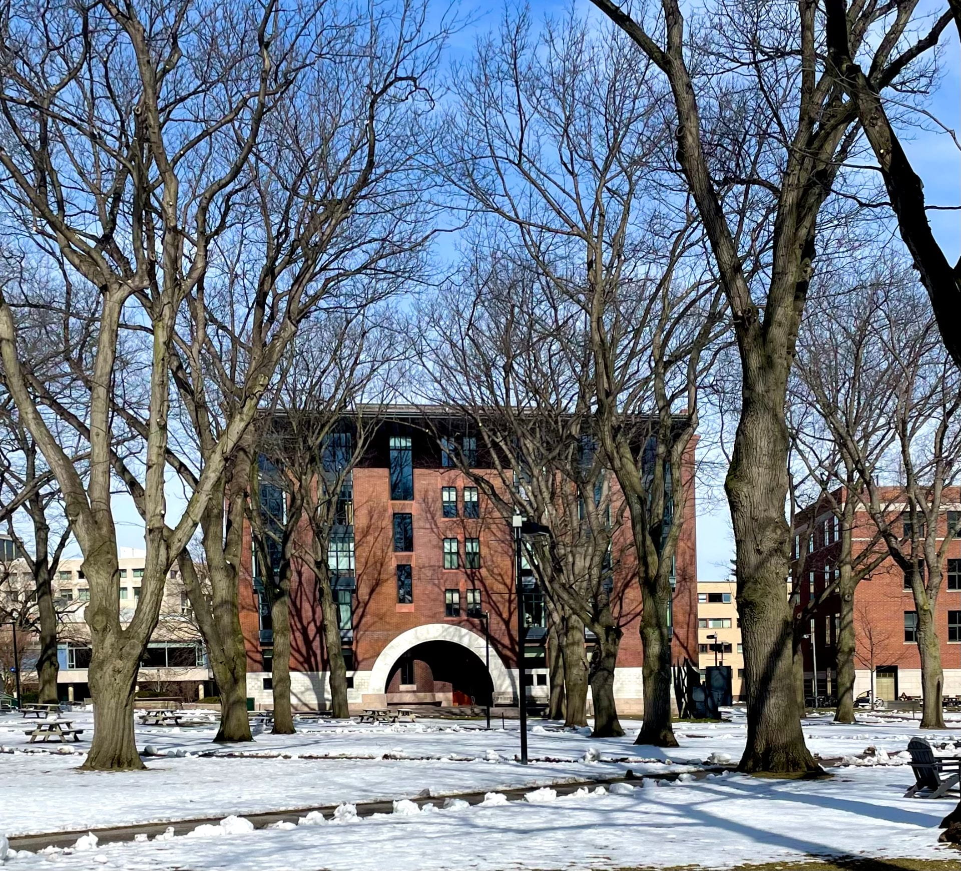 Harvard campus buildings